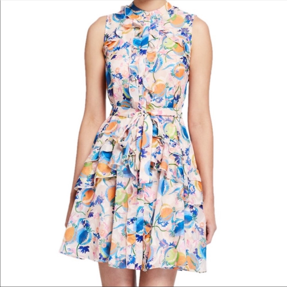NWOT Saloni Tilly Dress